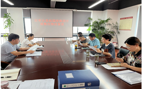 區(qū)委審計(jì)委到國投集團(tuán)開展審計(jì)整改督查工作