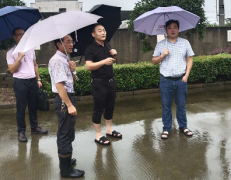 國(guó)投集團(tuán)多措并舉加強(qiáng)汛期防汛工作